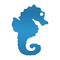 cropped-Seahorse_100x100.png